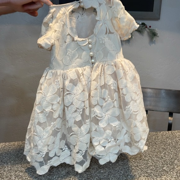 Gorgeous cream lace dress size 2 - Picture 2 of 6